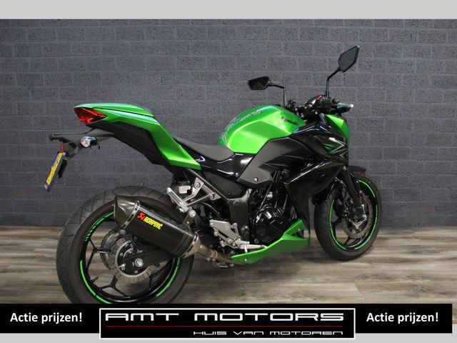 kawasaki - z-300