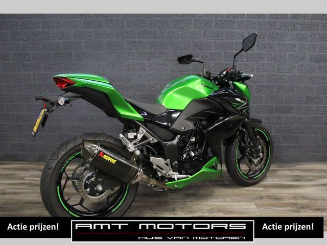 kawasaki - z-300