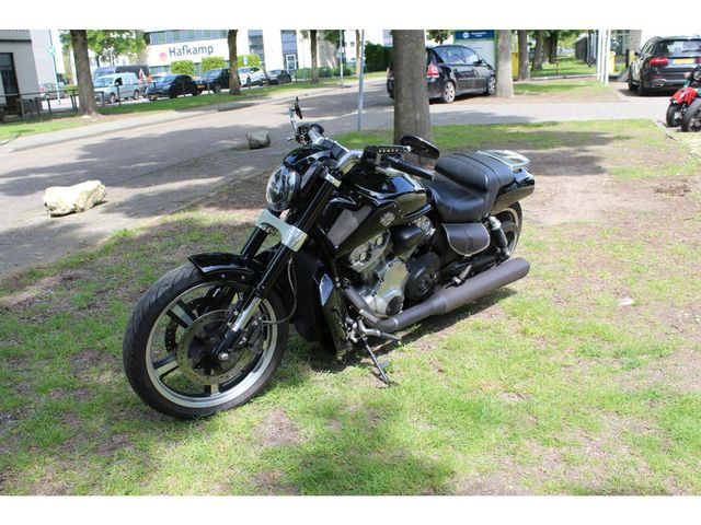 harley-davidson - v-rod-muscle-vrscf