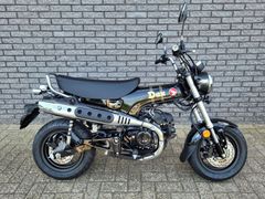 Honda Dax 125 2026 nieuw – foto 1 van 5
