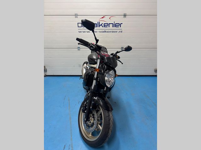suzuki - gladius