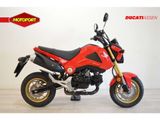 HONDA MSX 125