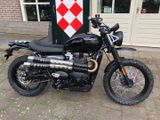 TRIUMPH SCRAMBLER 900