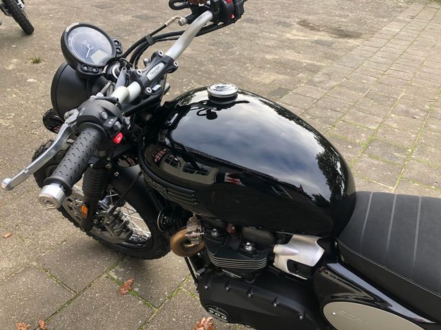 triumph - scrambler-900