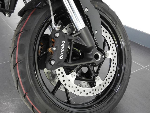 bmw - f-900-r