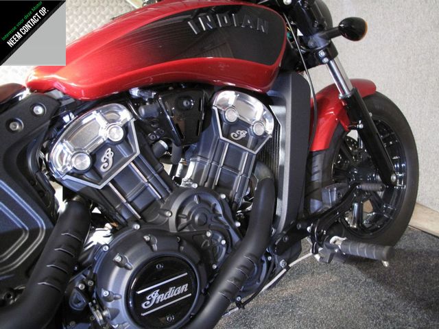indian - scout-bobber