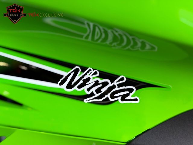 kawasaki - zx-10r-ninja