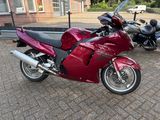 HONDA CBR 1100  XX SUPER BLACKBIRD