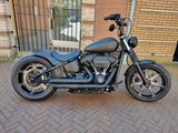 HARLEY-DAVIDSON STREET BOB FXBB