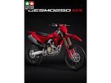 DUCATI DESMO 250 MX