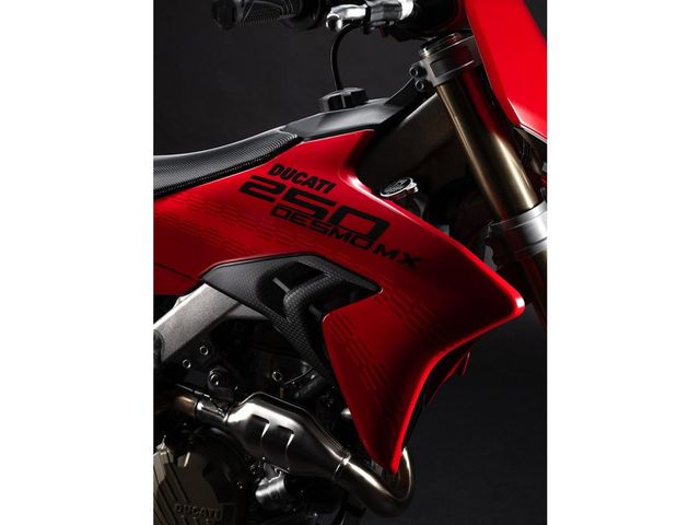 ducati - desmo-250-mx