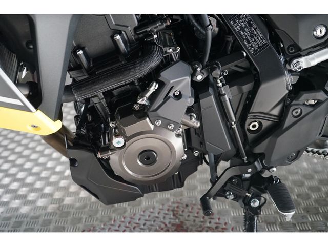 suzuki - v-strom-800