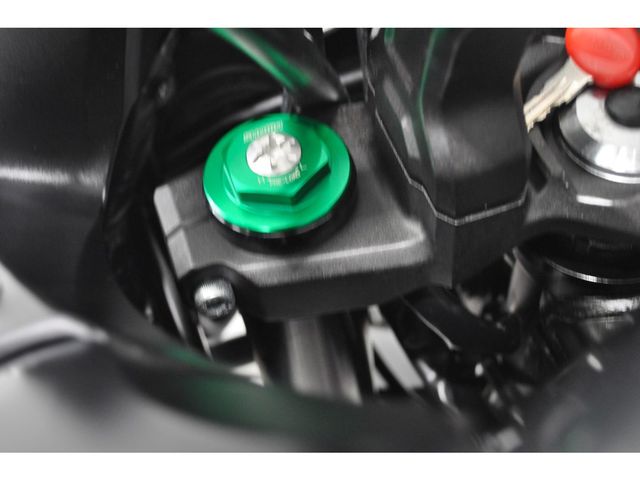 kawasaki - versys-650