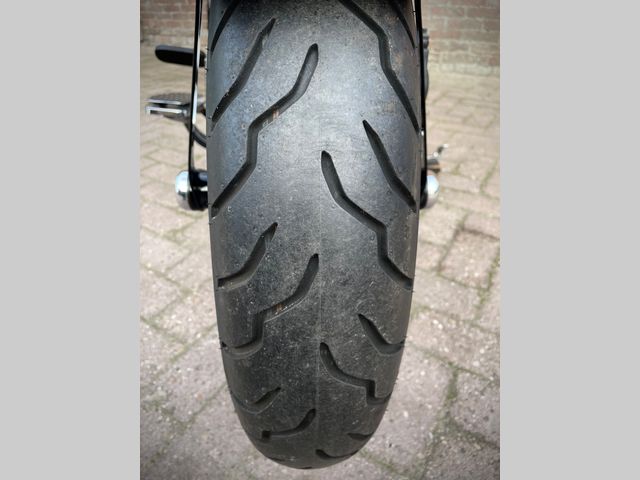 harley-davidson - springer-flsts-softail