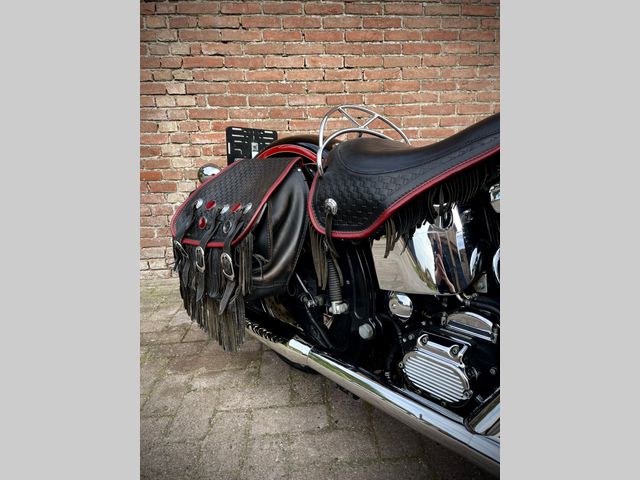 harley-davidson - springer-flsts-softail