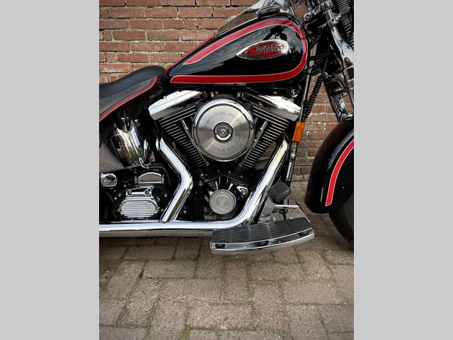 harley-davidson - springer-flsts-softail