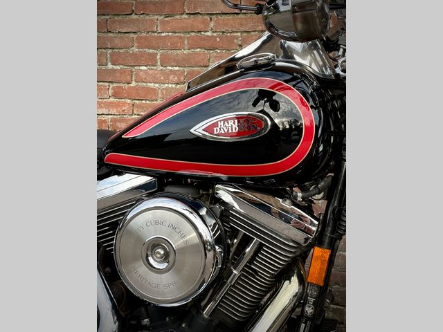 harley-davidson - springer-flsts-softail