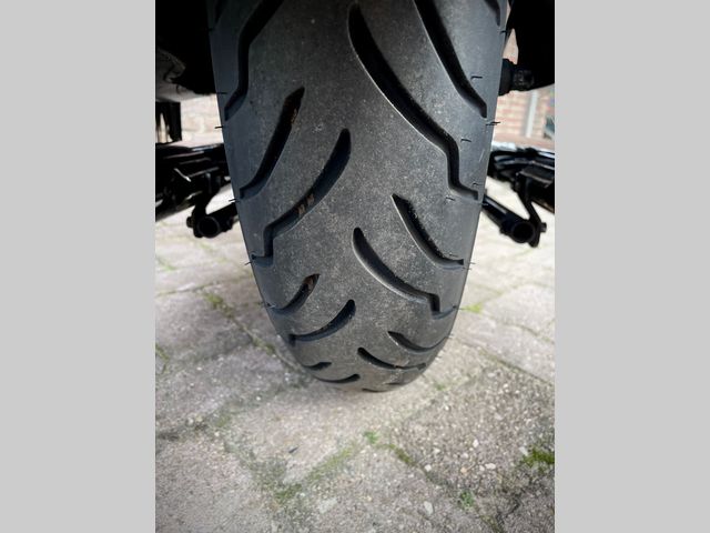 harley-davidson - springer-flsts-softail