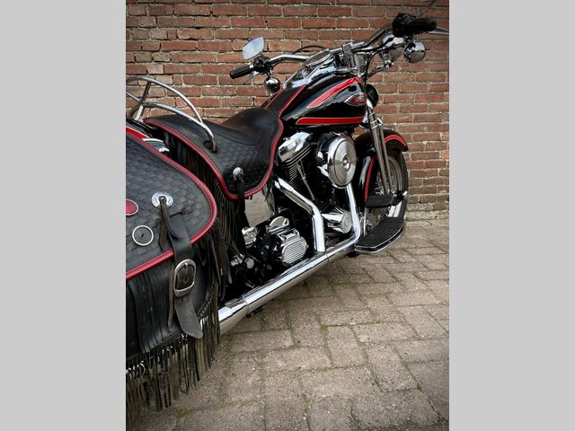 harley-davidson - springer-flsts-softail