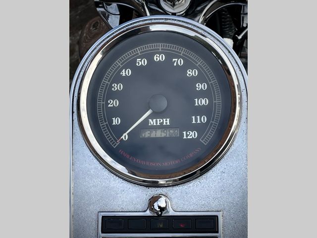 harley-davidson - springer-flsts-softail