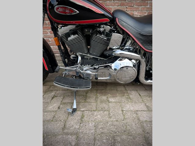 harley-davidson - springer-flsts-softail