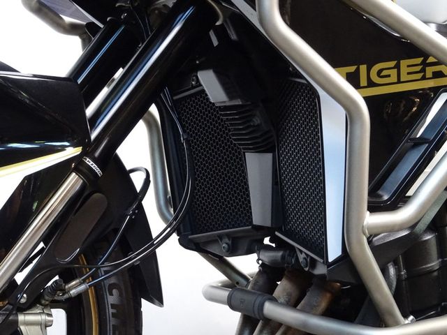triumph - tiger-900-gt-pro