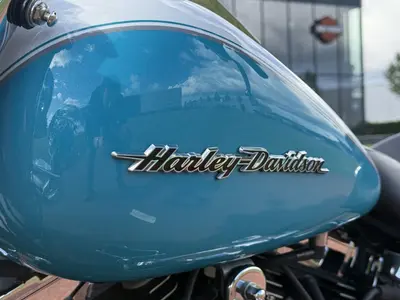 HARLEY-DAVIDSON SOFTAIL DELUXE FLSTN – foto 4