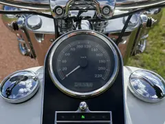 Harley-Davidson FLSTN103 Two-Tone 2016 occasion – foto 15 van 20