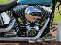 Harley-Davidson FLSTN103 Two-Tone 2016 occasion – foto 18 van 20