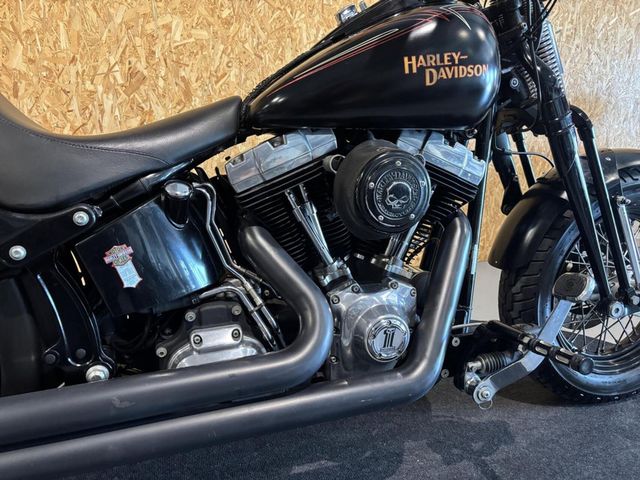 harley-davidson - cross-bones-flstsb