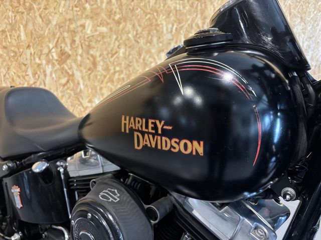 harley-davidson - cross-bones-flstsb