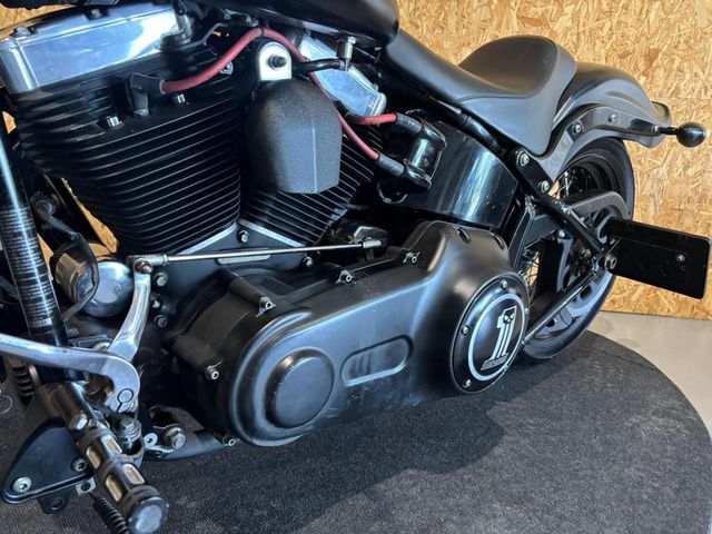 harley-davidson - cross-bones-flstsb
