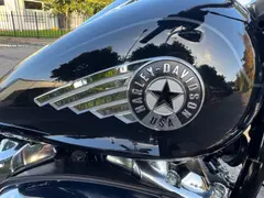 Harley-Davidson Softail Fatboy 117 Fat Boy 2025 (5hd) 2025 occasion – foto 8 van 20