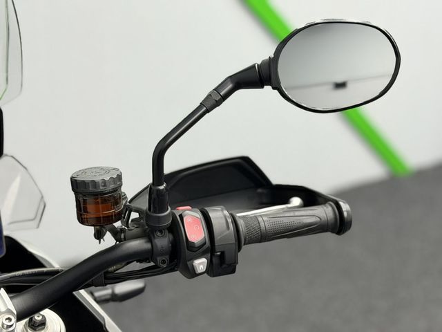 triumph - tiger-900-rally-pro