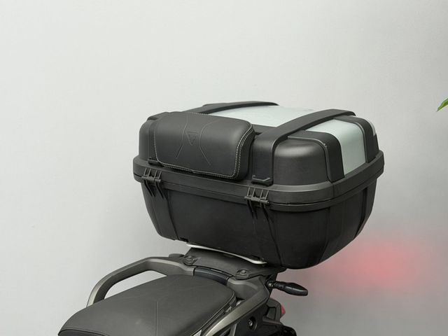 triumph - tiger-900-rally-pro