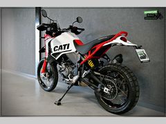 Ducati Desertx Rally 2025 occasion – foto 7 van 24