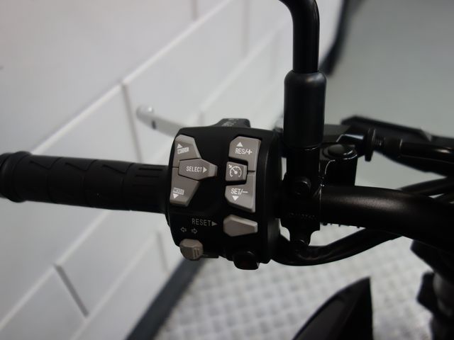 kawasaki - z900-performance