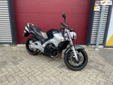 SUZUKI GSR 600