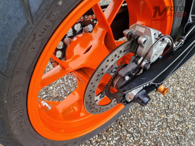 ktm - 890-duke-gp