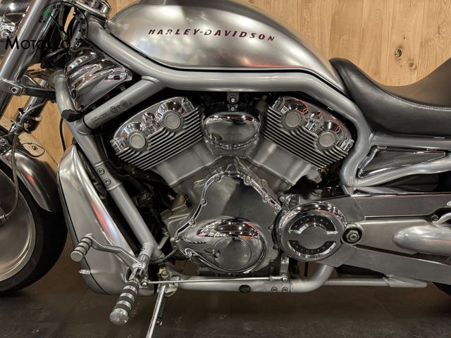 harley-davidson - v-rod-vrsca