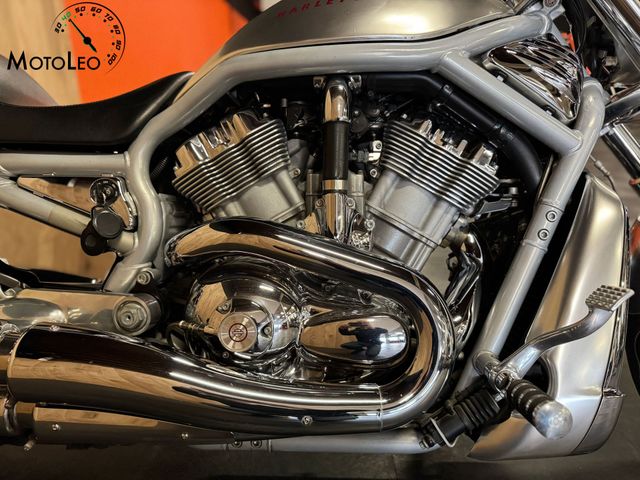 harley-davidson - v-rod-vrsca