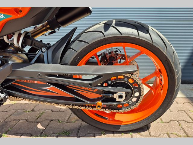 ktm - 890-duke-gp