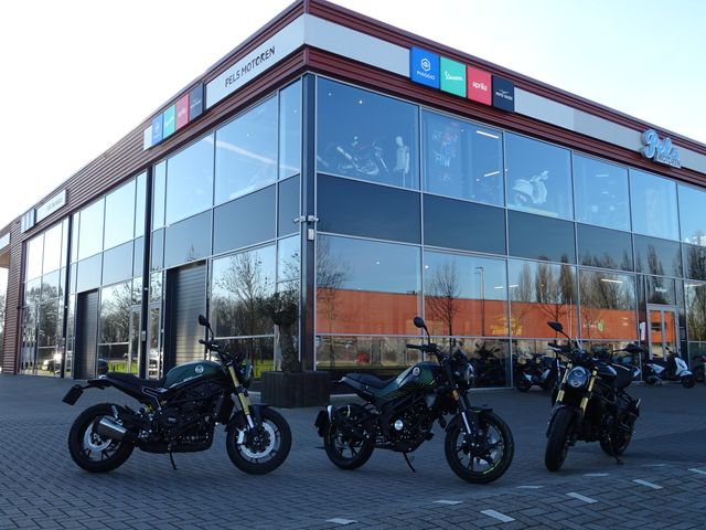 benelli - leoncino-500