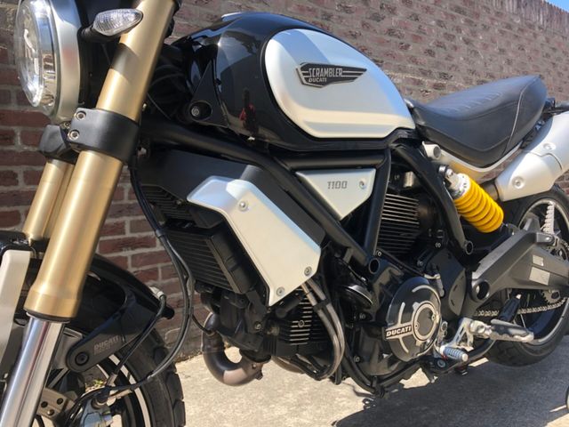 ducati - scrambler-1100