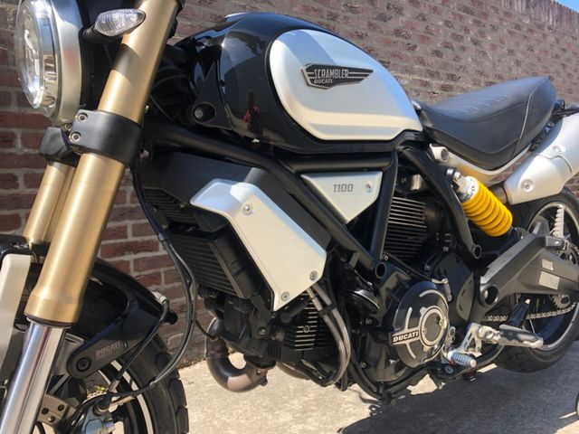 ducati - scrambler-1100