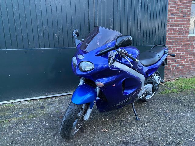 triumph - sprint-st-955