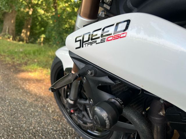 triumph - speed-triple