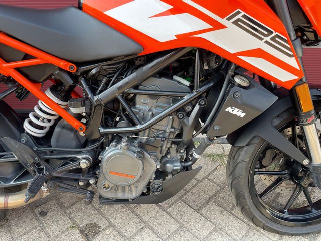 ktm - 125-duke