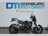 YAMAHA FZ 1 FAZER
