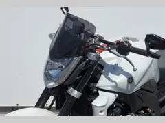 Yamaha FZ 1 Fazer 2006 occasion – foto 12 van 21